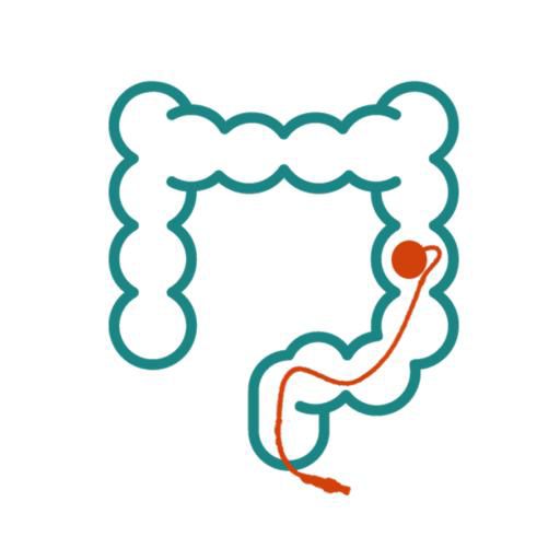 cat-polyp.jpg